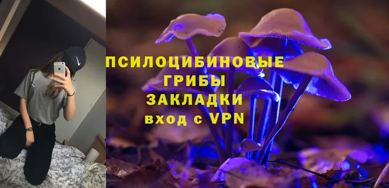 гидра вход  Билибино  Псилоцибиновые грибы Magic Shrooms  купить наркоту 